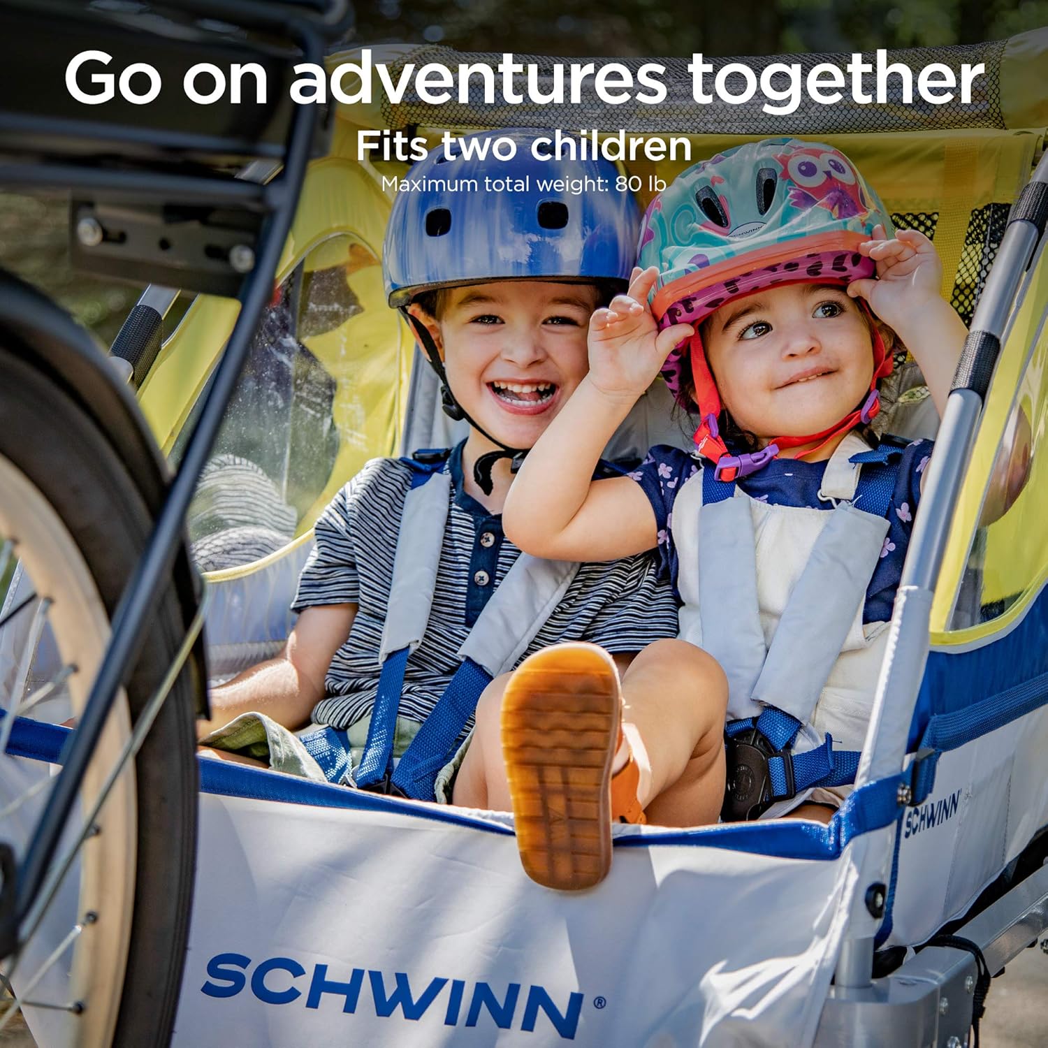 Schwinn product image